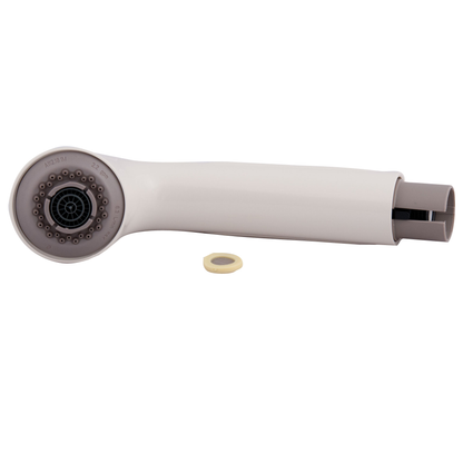 Moen Pullout Spout