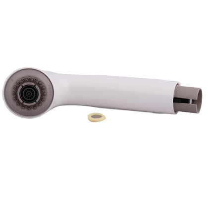 Moen Pullout Spout