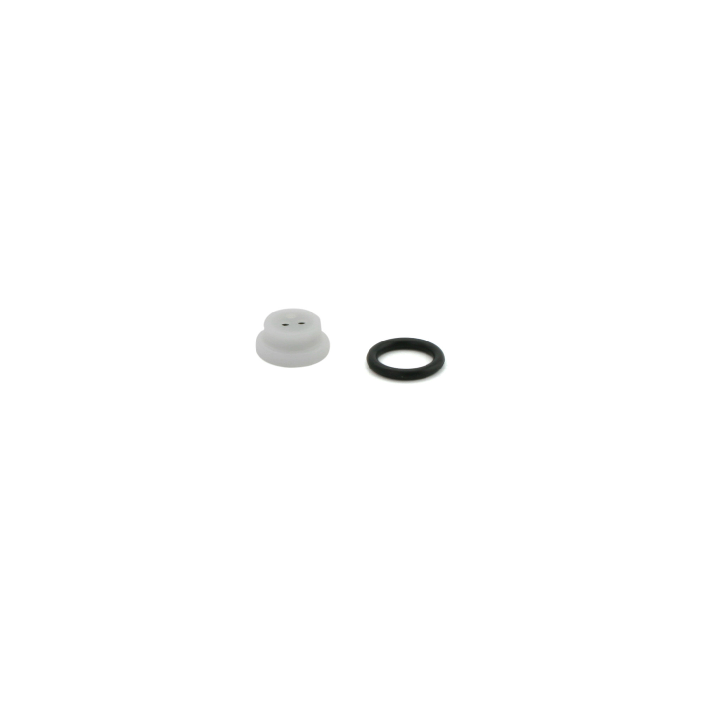 Moen Check Valve Kit