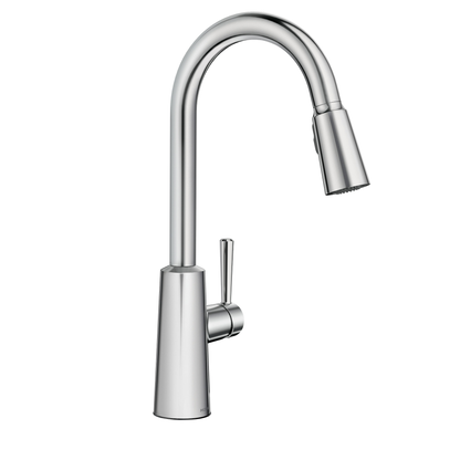 Riley High Arc Pulldown Kitchen Faucet