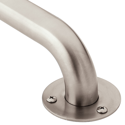 Moen Home Care Stainless 12" Exposed Screw Grab Bar