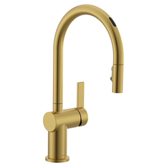 Cia Smart Kitchen One-Handle High Arc Pulldown Kitchen Faucet