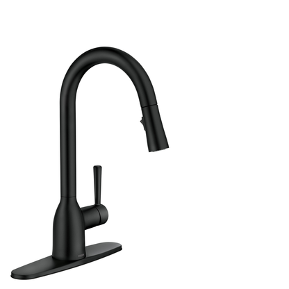Adler One-Handle High Arc Pulldown Kitchen Faucet
