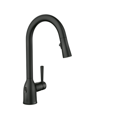 Adler Chrome one-handle low arc pulldown kitchen faucet