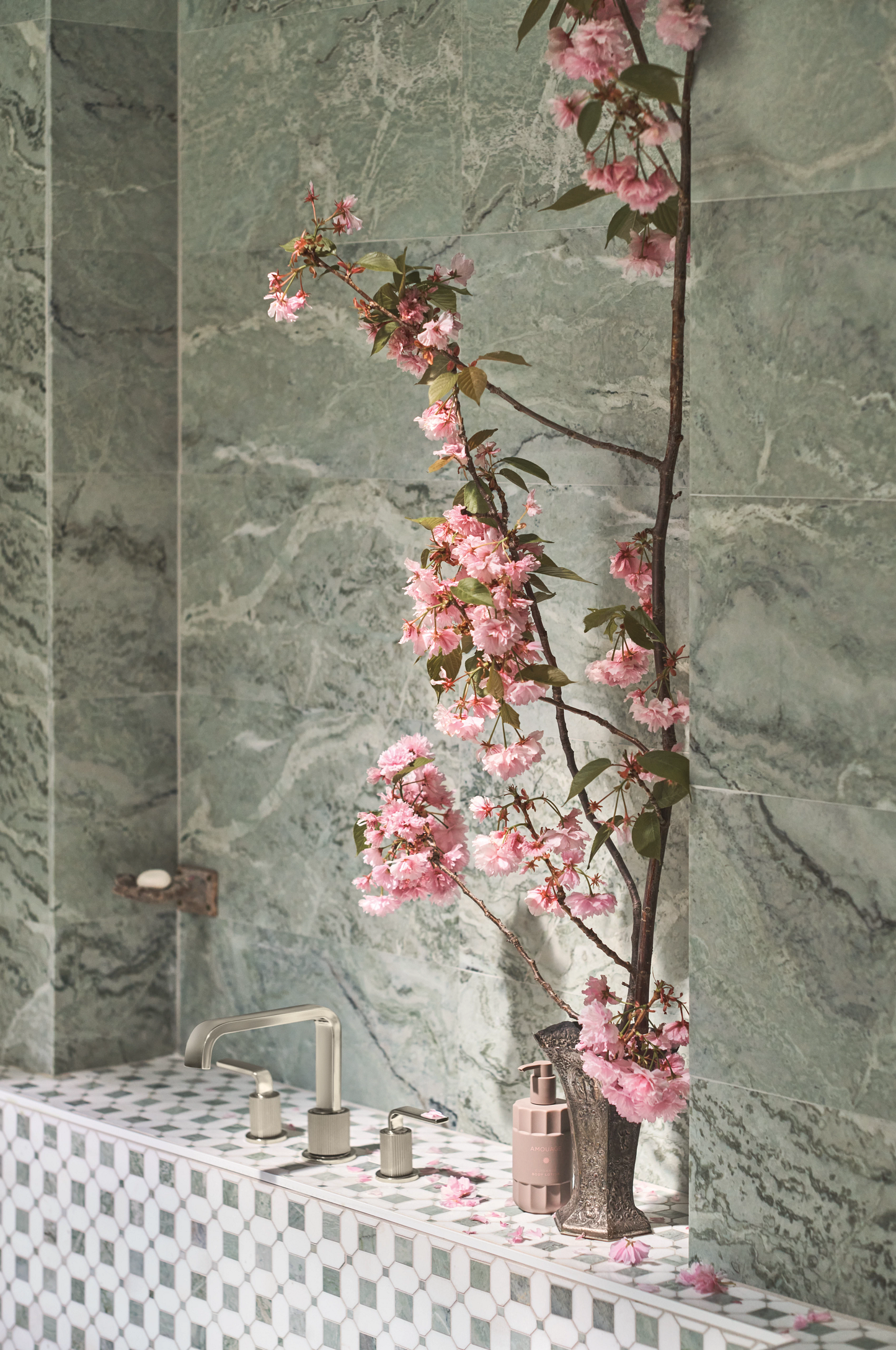 Brushed Nickel/Polished Nicke