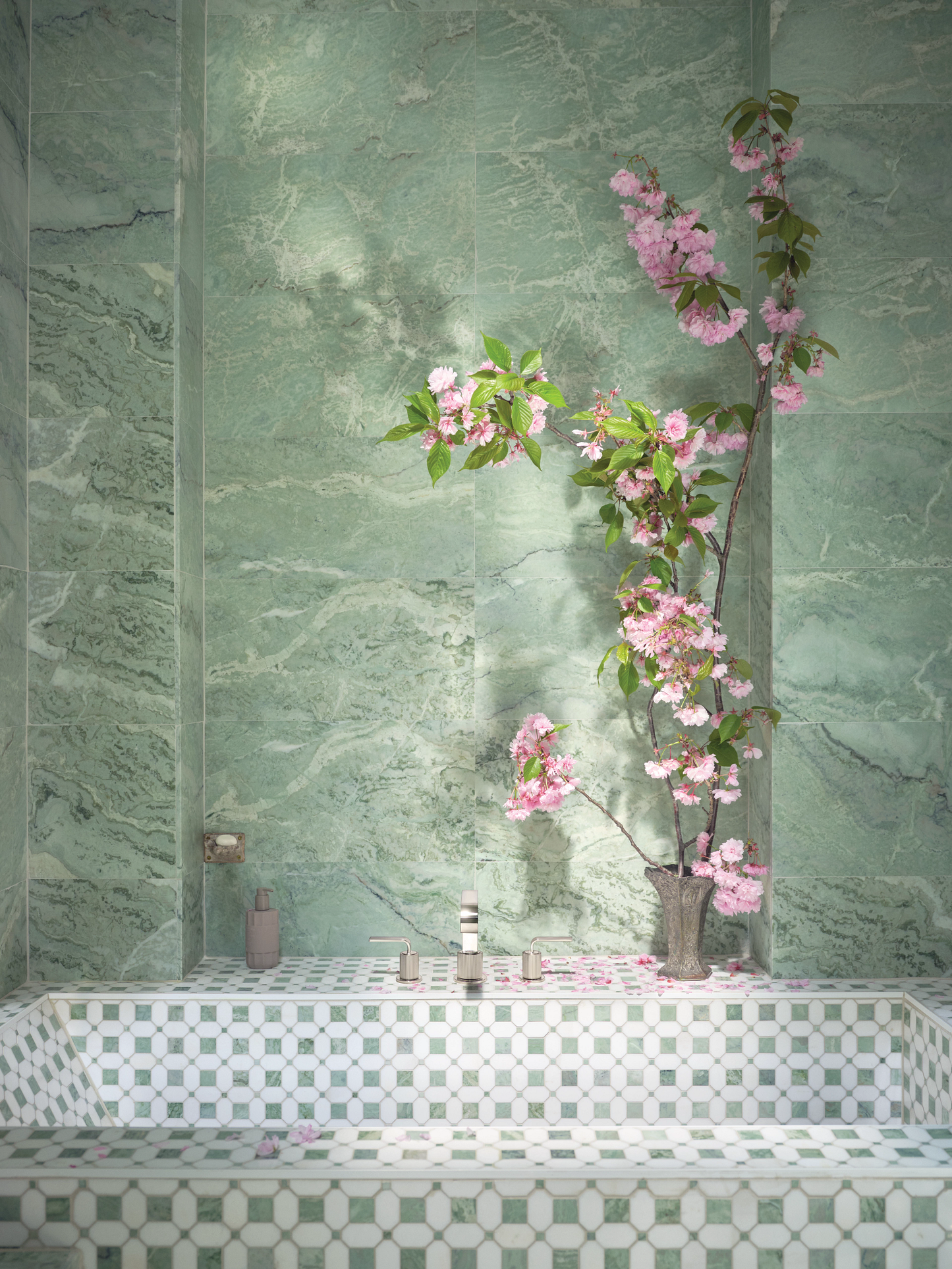 Polished Nickel/Brushed Nickel