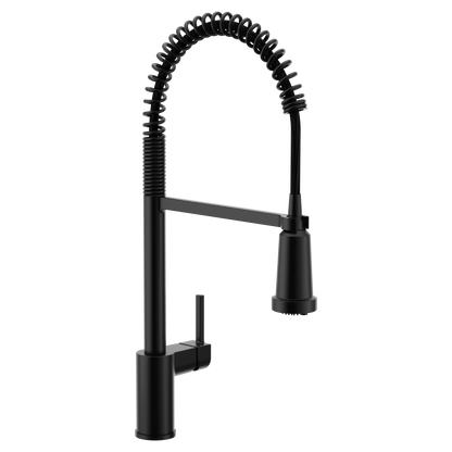 Align 3 In 1 Water Filtration Pull Down Kitchen Faucet