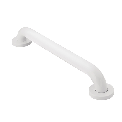 Moen Home Care Glacier 30" Concealed Screw Grab Bar