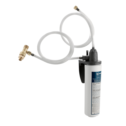 Moen Filtration System