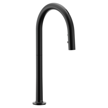 Apphia Chrome one-handle high arc pulldown kitchen faucet