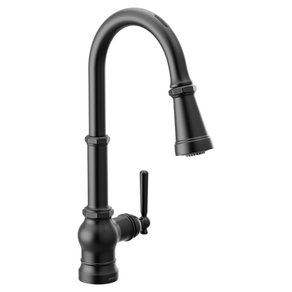 Paterson Motion Control Smart Kitchen One-Handle High Arc Pulldown Faucet