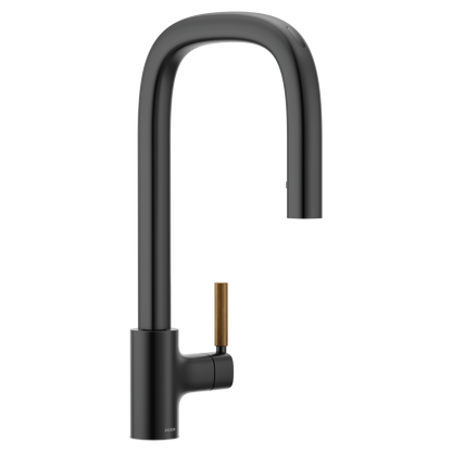 Tenon Chrome one-handle high arc pulldown kitchen faucet