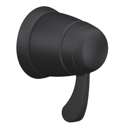 Moen Chrome ExactTemp(R) volume control